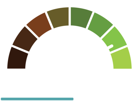 SRI Services Logo